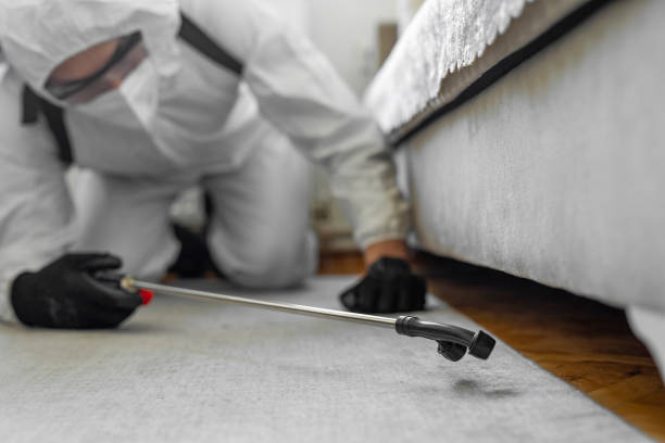 Professional Cockroach Control technician working in Allen Parish County, LA